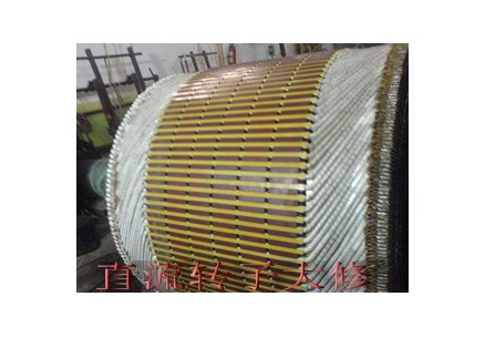 湖北三相整流子电机维修